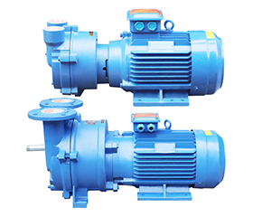 2BV水(shuǐ)環真空泵(bèng) 直連式防(fang)爆真空泵(beng)